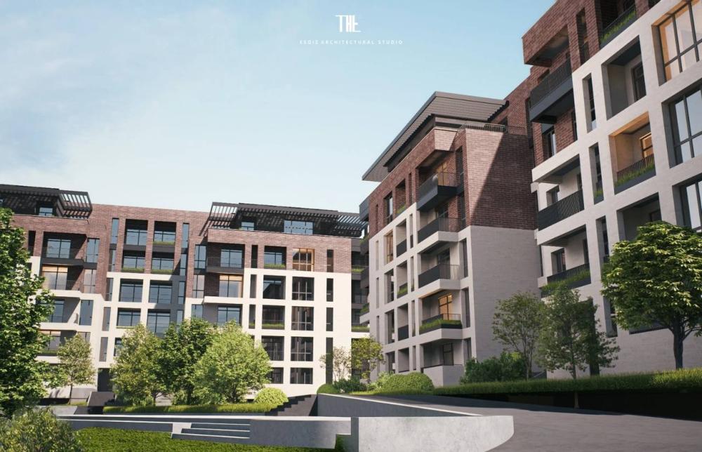 Portfolio Image
