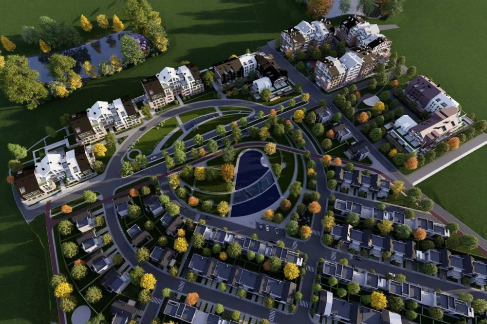 Portfolio Image